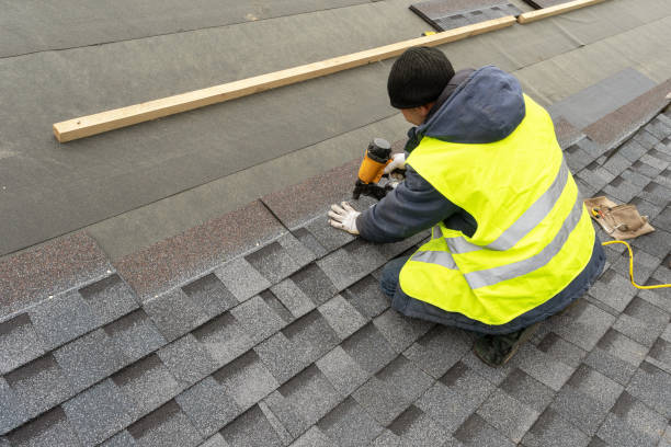 Best Roof Gutter Cleaning  in Neodesha, KS