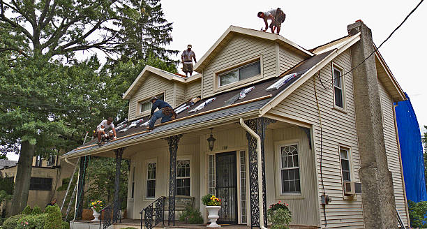 Best Shingle Roofing Installation  in Neodesha, KS